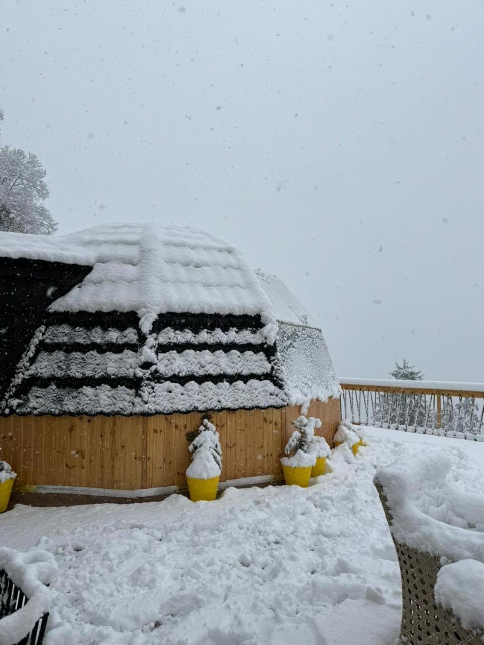 Infinity Sky Glamps Hotel Manali  Exterior photo